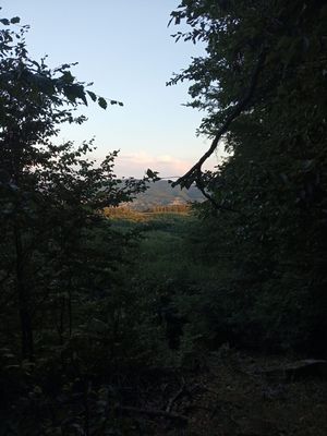 Fotografia od František Máška