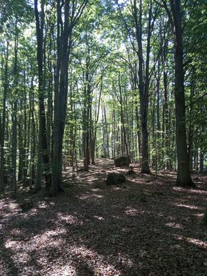 Fotografia od František Máška