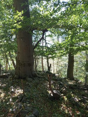 Fotografia od František Máška