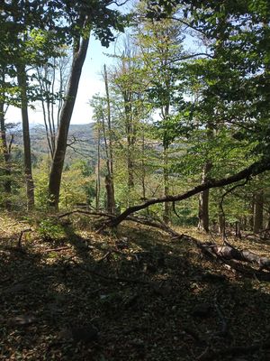 Fotografia od František Máška