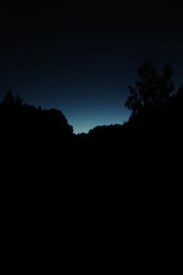 Fotografia od Zolo Kis