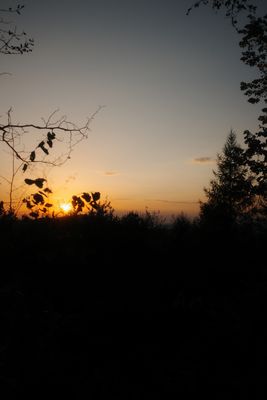 Fotografia od Zolo Kis