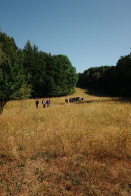 Fotografia od Zolo Kis