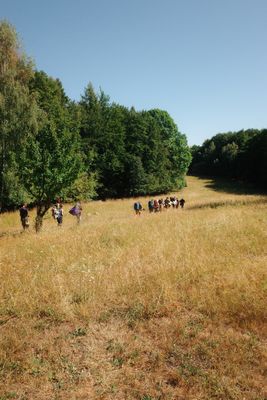 Fotografia od Zolo Kis