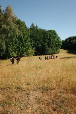 Fotografia od Zolo Kis