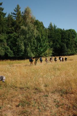 Fotografia od Zolo Kis