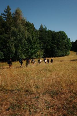 Fotografia od Zolo Kis
