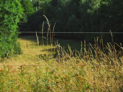 Fotografia od Tatiana Če