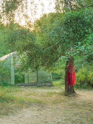 Fotografia od Tatiana Če
